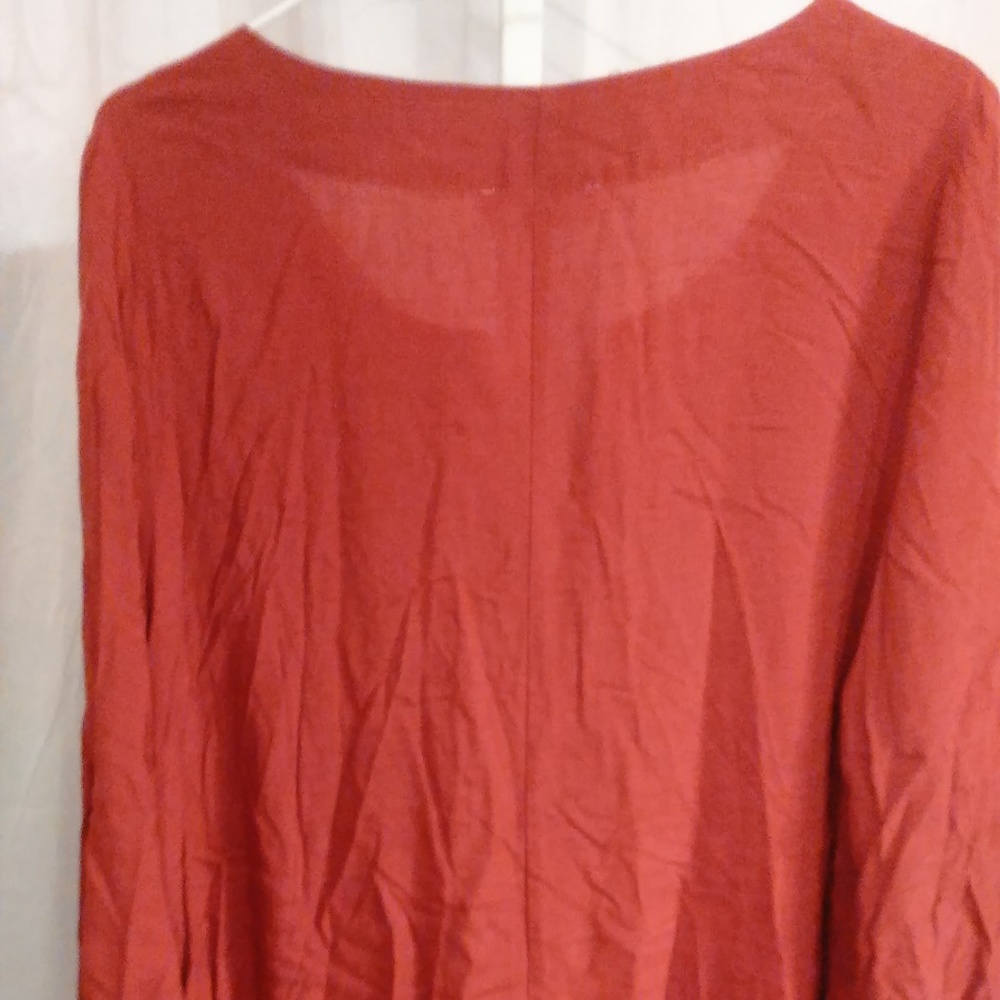 Entro Rust Dress with Ruffle - Picture 4 of 6